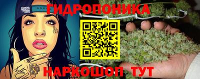 ALPHA PVP Гусев