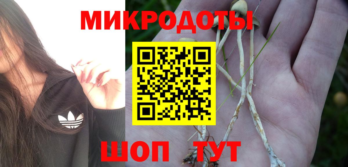 Галлюциногенные грибы прущие грибы  Вход с VPN  Мытищи 